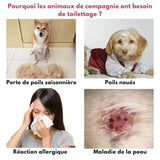 Brosse Poils Chien