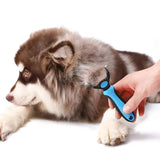 Brosse Poils Chien