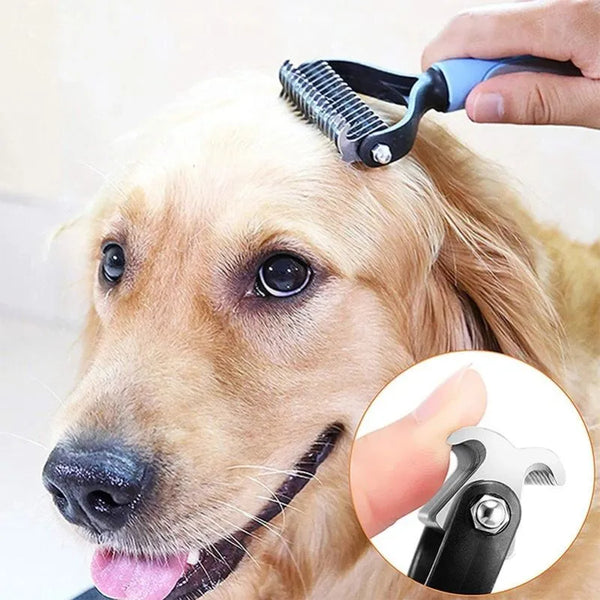 Brosse Poils Chien