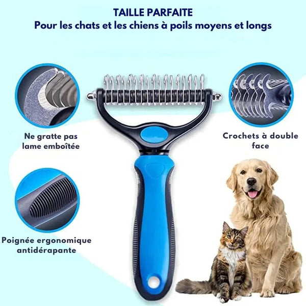 Brosse Poils Chien