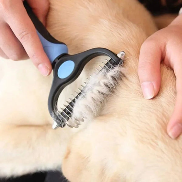 Brosse Poils Chien