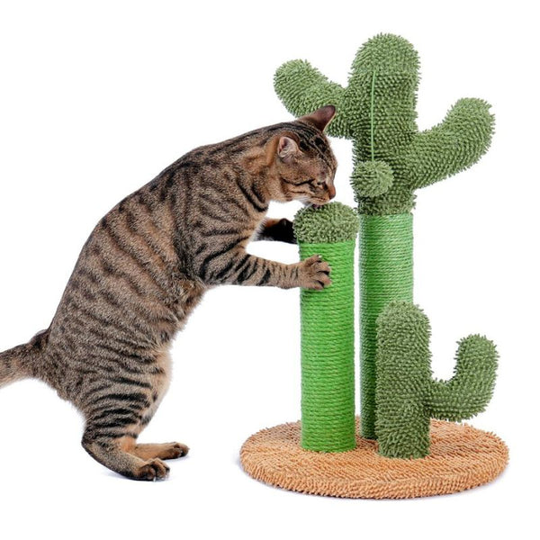 Arbre à chat en forme de cactus