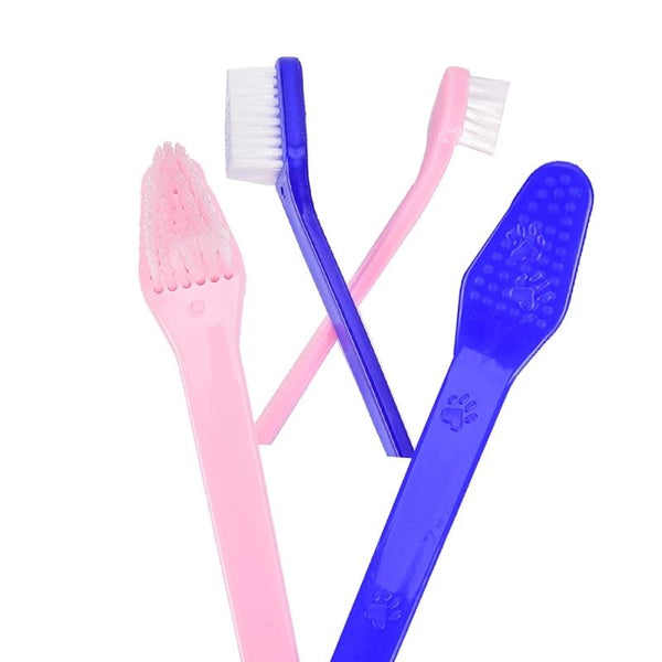 Brosse à dents pour chien