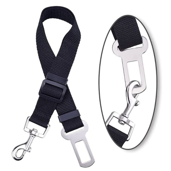 Ceinture sécurité chien voiture