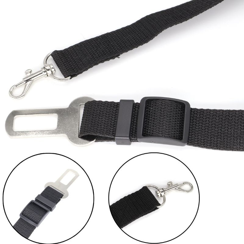 Ceinture de sécurité pour chien