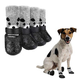 Chaussettes pour chien