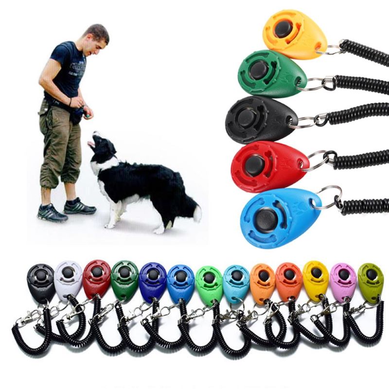 Clicker pour chien