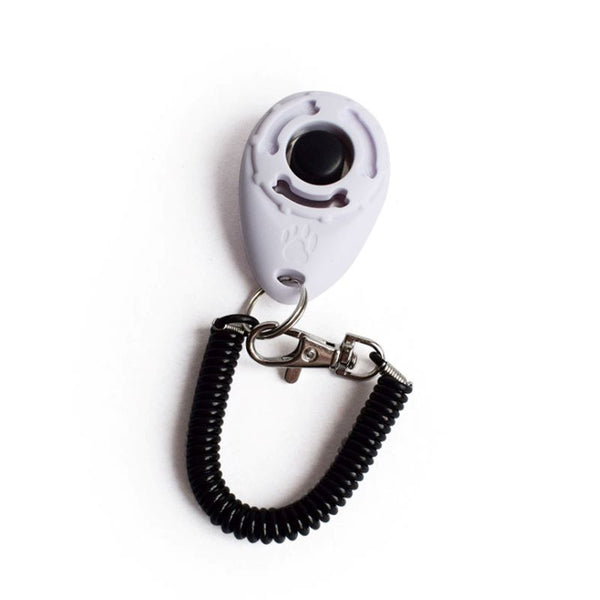 Clicker pour chien