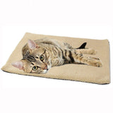 Coussin chauffant pour chat extérieur