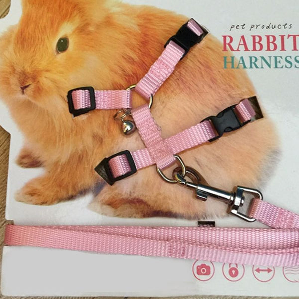 Harnais lapin bélier