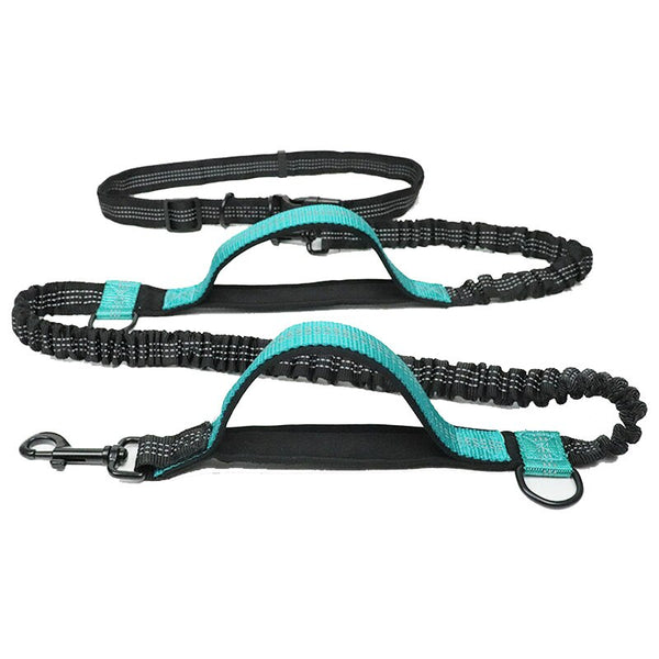 Ceinture canicross avec laisse