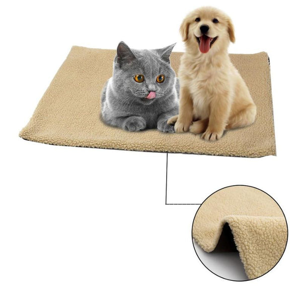 Coussin chauffant pour chat extérieur