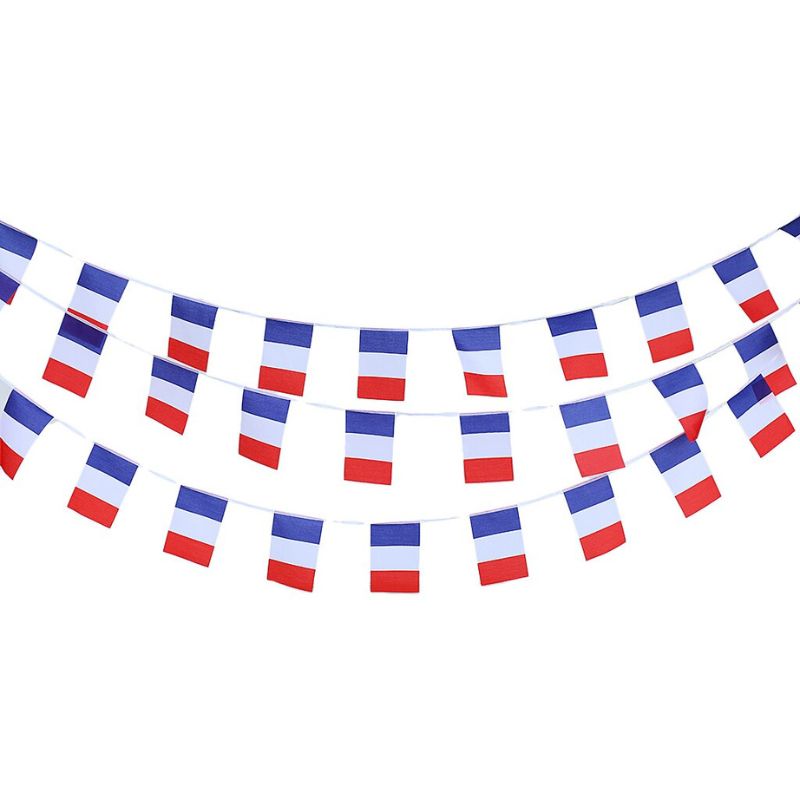 Fanion drapeau francais