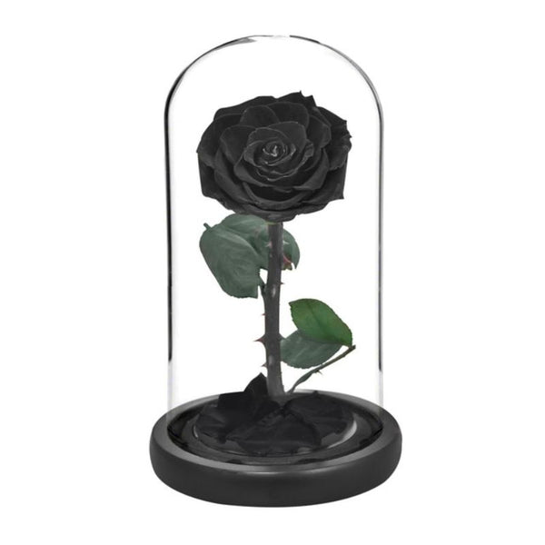 Rose éternelle noire