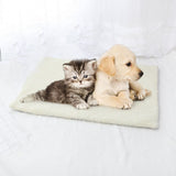 Coussin chauffant pour chat extérieur