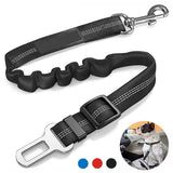 Attache ceinture chien