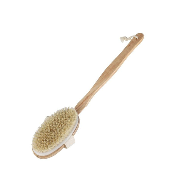 Brosse corps à sec