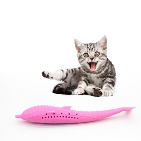 Brosse à dent chat