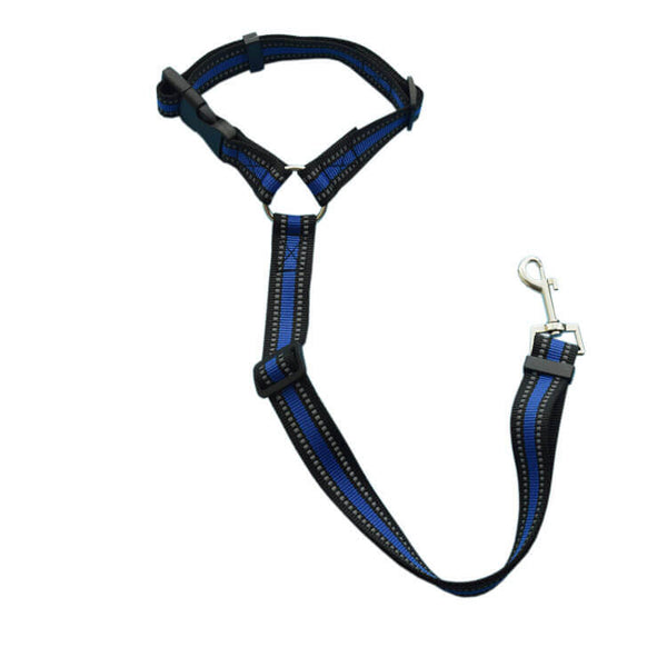 Ceinture pour chien en voiture