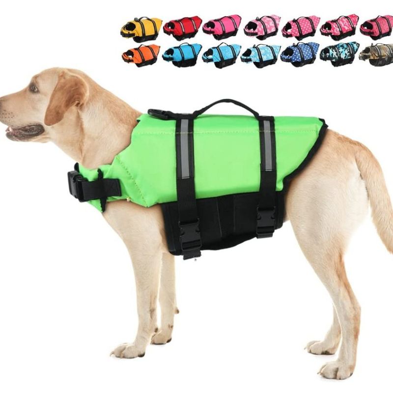 Gilet de sauvetage chien