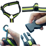 Ceinture pour chien en voiture