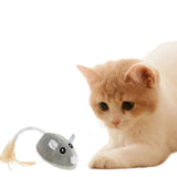 Souris pour chat