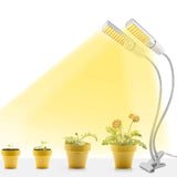 Lampe croissance plante