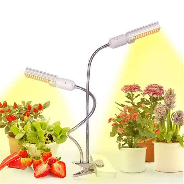 Lampe croissance plante